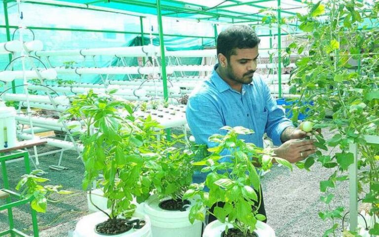 Shriram Gopal बिना मिट्टी के,  Technology की मदद से कर रहे खेती, 2 करोड़ से अधिक का है टर्नओवर