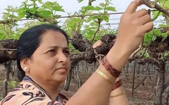 इस महिला ने 30 लाख के कर्ज को चुकाया और अंगूर की खेती से अब 40 लाख रुपए हर साल कमाती है