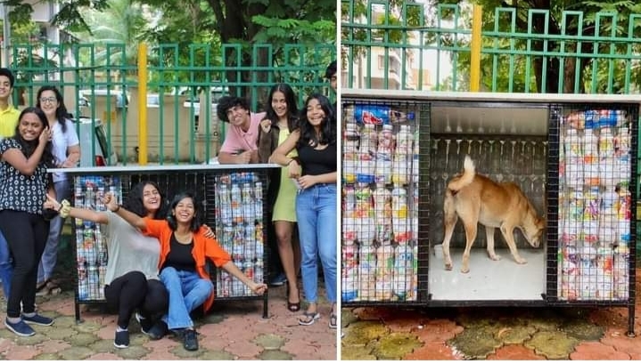 प्लास्टिक के कचरे से घर बना कर इन छात्रों ने बेसहारा जानवरों को दिया नया आशियाना