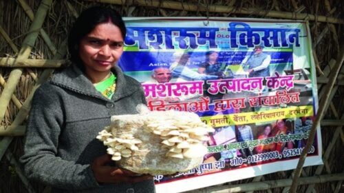 pushpa jha mushroom kisan