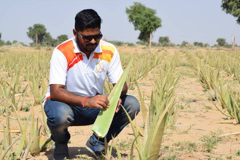 Harish dhandev aloe vera farmer ki success story