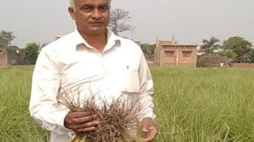 Khus farmer Meghraj prasad ki kahani