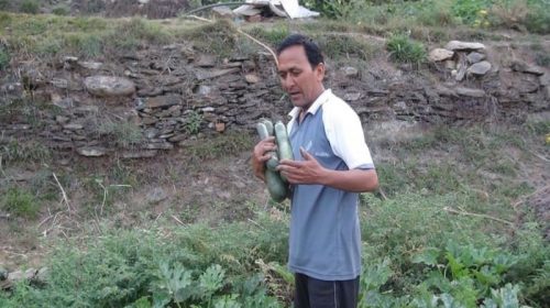 Farmer Dr. kishan Rana success story of bageshwar Uttarakhand