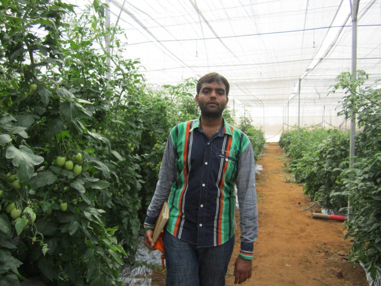 गुजरात के हार्दिक कमा रहे हैं सालाना एक करोड़, खेती की ट्रेनिंग ने बना दिया इनका जीवन