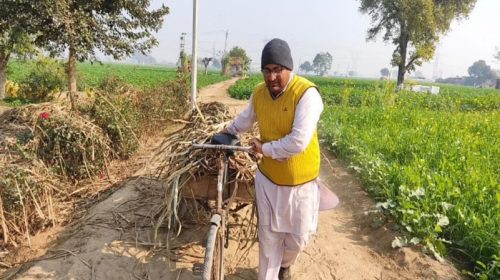 USA return farmer Rajwinder Singh Dhaliwal ki kahani