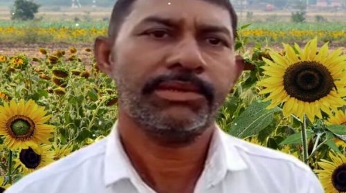 Success story of sunflower farmer Magan Parmar in Hindi