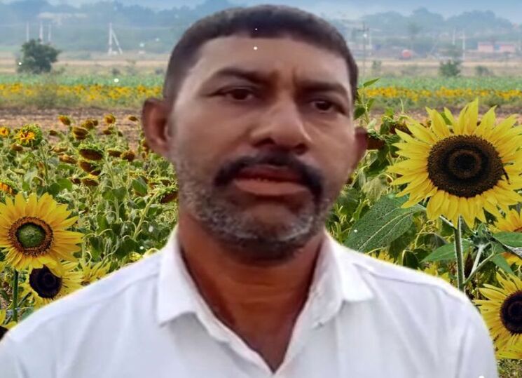Success story of sunflower farmer Magan Parmar in Hindi