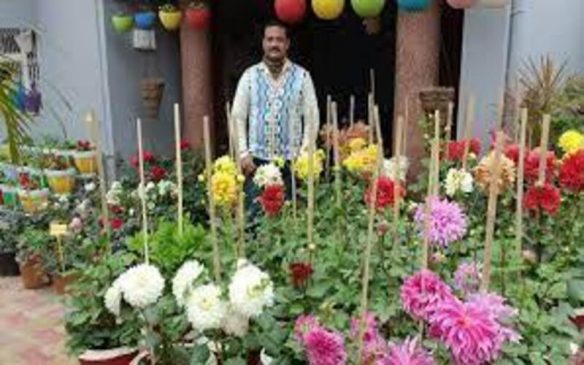 Jitendra Kumar gardener