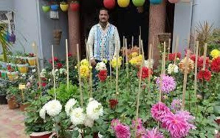 आइए जानते हैं फूलों के शौकीन इस बिहार के सिपाही के बारे में जिन्होंने अपने घर पर उग आए हैं 500 से भी अधिक किस्मों के सजावटी फुल