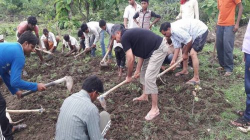 R K Paliwal community farming