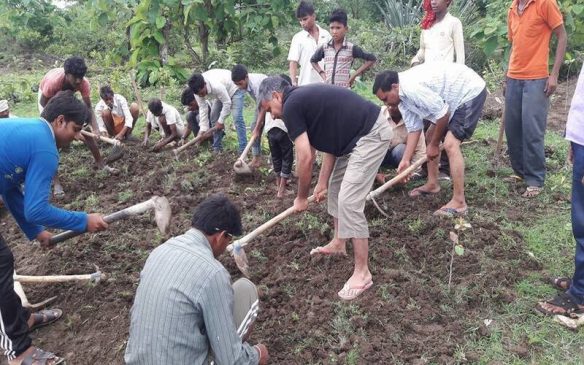 R K Paliwal community farming