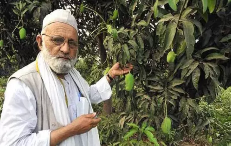 आइए जानते हैं एक ऐसे व्यक्ति के बारे में जो एक पेड़ पर उगाता है 300 किस्मों के आम भारत के मैंगो मैन के नाम से प्रसिद्ध है यह व्यक्ति