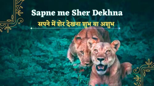 Sapne me Sher Dekhna