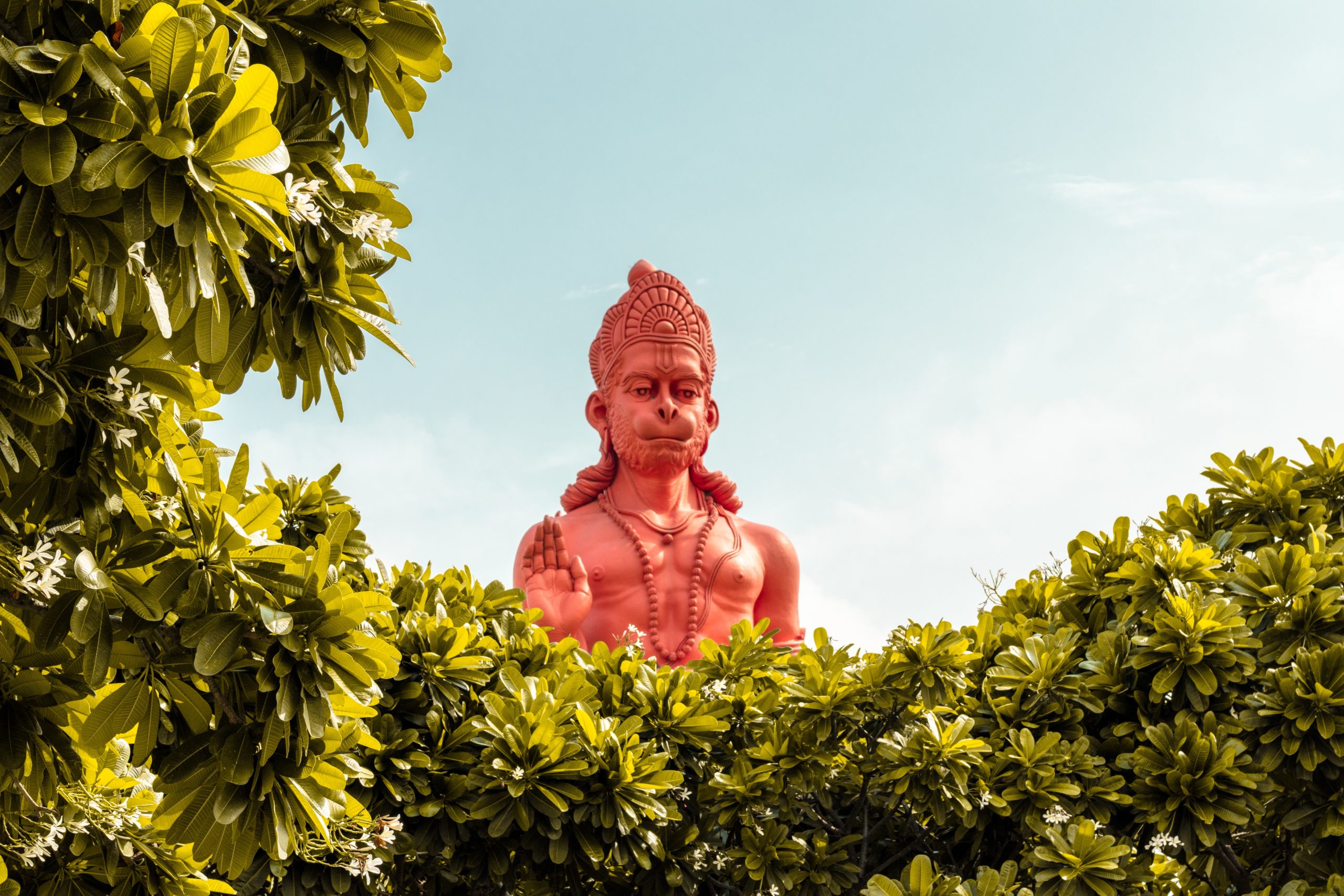 Sapne me Hanuman Ji Ko Dekhna