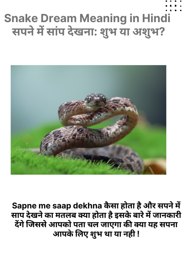 Snake Dream Meaning in Hindi