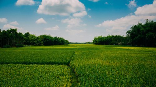 Sapne me Khet Dekhna