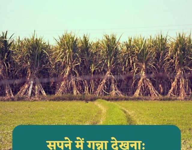Sapne me Ganna Dekhna