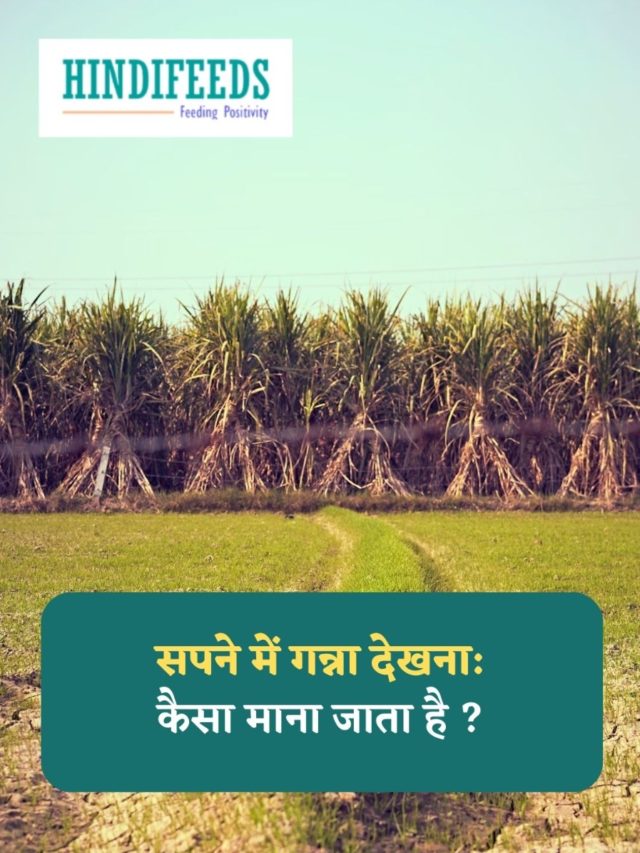 Sapne me Ganna Dekhna : सपने में गन्ना देखना कैसा माना जाता है ?