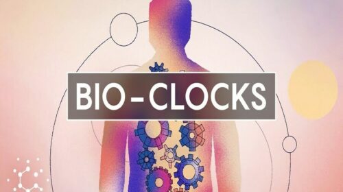 Bio-Clock