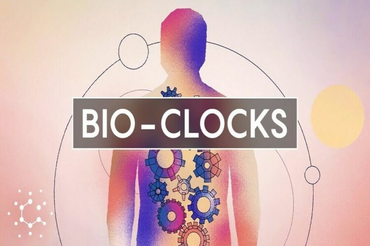 Bio-Clock